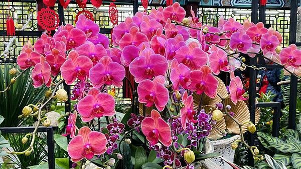 IMG_5846.jpg IMG_5846.jpg