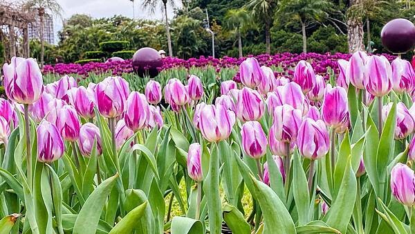 IMG_5851.jpg IMG_5851.jpg