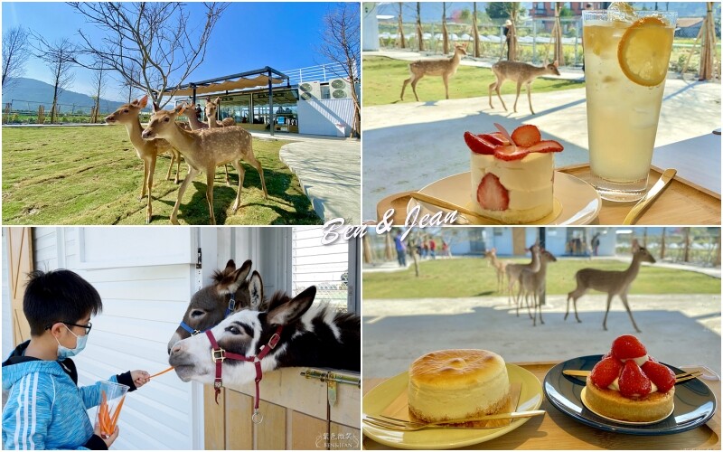 宜蘭縣三星鄉宜蘭一日遊》三星鄉景點~精靈村.免費搭小火車.溫泉煮蛋.湯屋餵鹿採蔥.巨大洛克馬.院長冰~好玩又好吃一次收