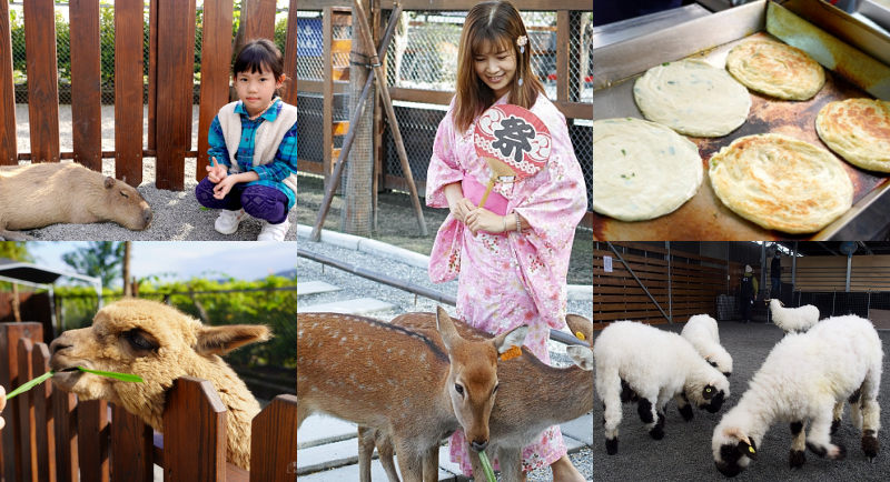 宜蘭縣三星鄉宜蘭一日遊》三星鄉景點~精靈村.免費搭小火車.溫泉煮蛋.湯屋餵鹿採蔥.巨大洛克馬.院長冰~好玩又好吃一次收