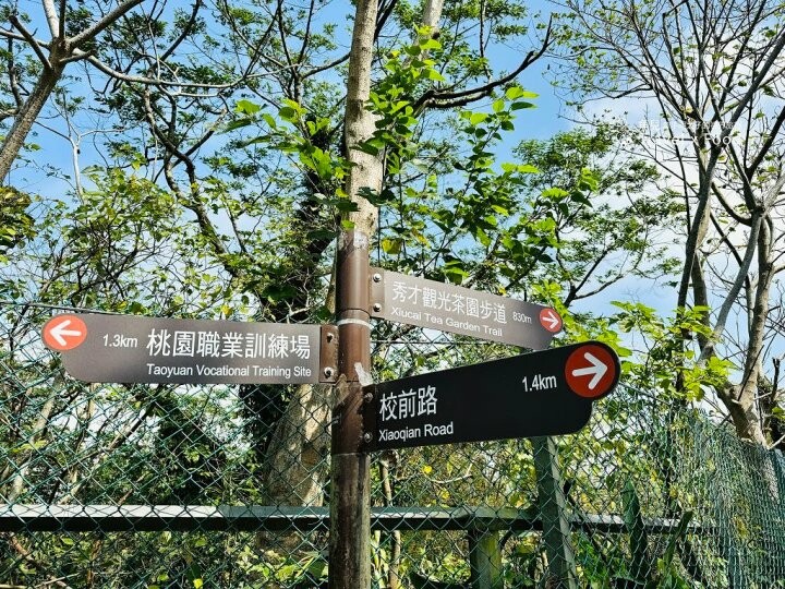 萬株櫻花林唯美浪漫，芒草落羽松各有千秋。春暖花開，踏青健走好風光。秀才登山步道，全家一起來！（2/17花況） @魚兒 x 牽手明太子的「視」界旅行