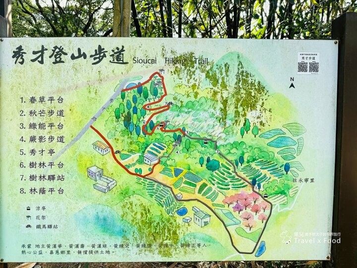 萬株櫻花林唯美浪漫，芒草落羽松各有千秋。春暖花開，踏青健走好風光。秀才登山步道，全家一起來！（2/17花況） @魚兒 x 牽手明太子的「視」界旅行