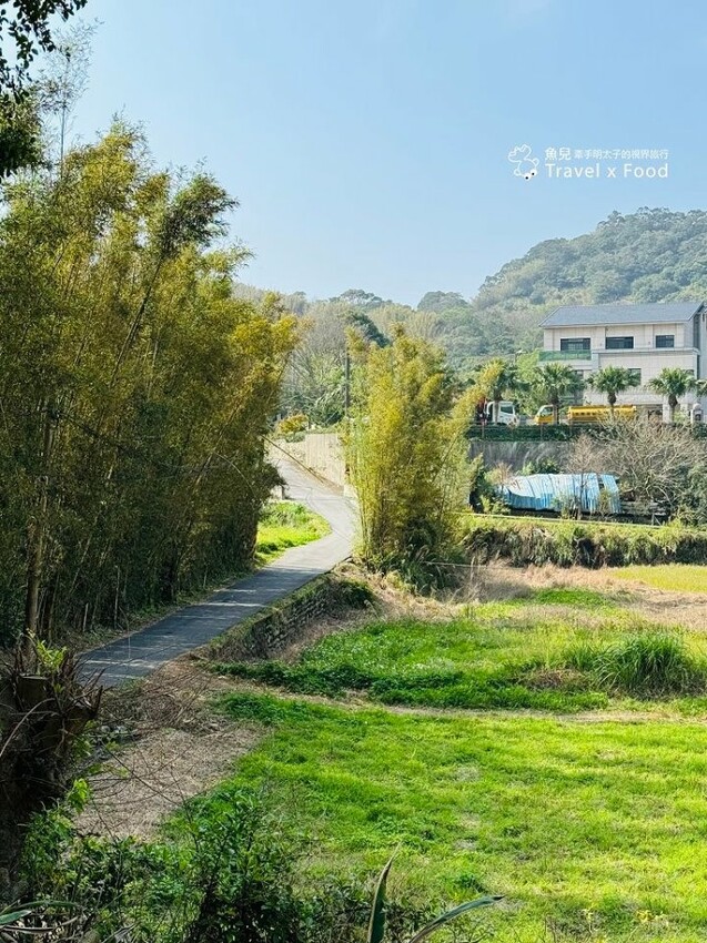 萬株櫻花林唯美浪漫，芒草落羽松各有千秋。春暖花開，踏青健走好風光。秀才登山步道，全家一起來！（2/17花況） @魚兒 x 牽手明太子的「視」界旅行