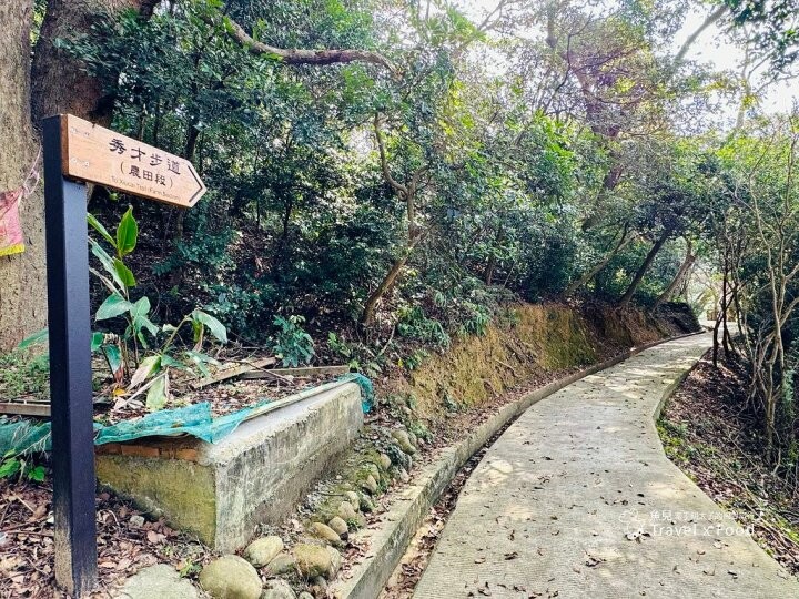 萬株櫻花林唯美浪漫，芒草落羽松各有千秋。春暖花開，踏青健走好風光。秀才登山步道，全家一起來！（2/17花況） @魚兒 x 牽手明太子的「視」界旅行