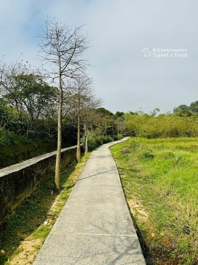 萬株櫻花林唯美浪漫，芒草落羽松各有千秋。春暖花開，踏青健走好風光。秀才登山步道，全家一起來！（2/17花況） @魚兒 x 牽手明太子的「視」界旅行