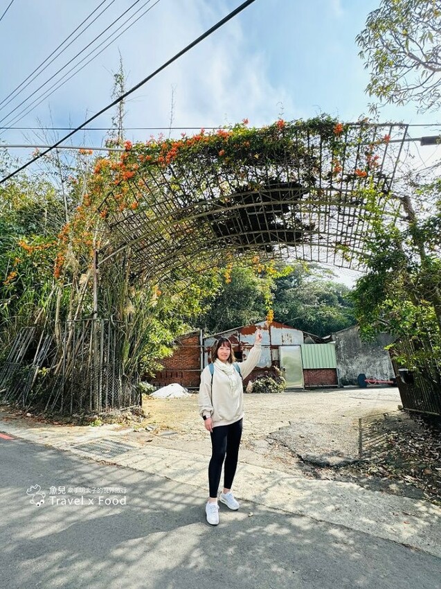 萬株櫻花林唯美浪漫，芒草落羽松各有千秋。春暖花開，踏青健走好風光。秀才登山步道，全家一起來！（2/17花況） @魚兒 x 牽手明太子的「視」界旅行