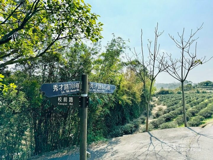萬株櫻花林唯美浪漫，芒草落羽松各有千秋。春暖花開，踏青健走好風光。秀才登山步道，全家一起來！（2/17花況） @魚兒 x 牽手明太子的「視」界旅行