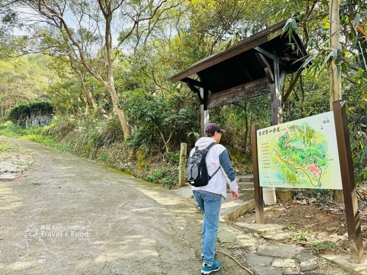 萬株櫻花林唯美浪漫，芒草落羽松各有千秋。春暖花開，踏青健走好風光。秀才登山步道，全家一起來！（2/17花況） @魚兒 x 牽手明太子的「視」界旅行