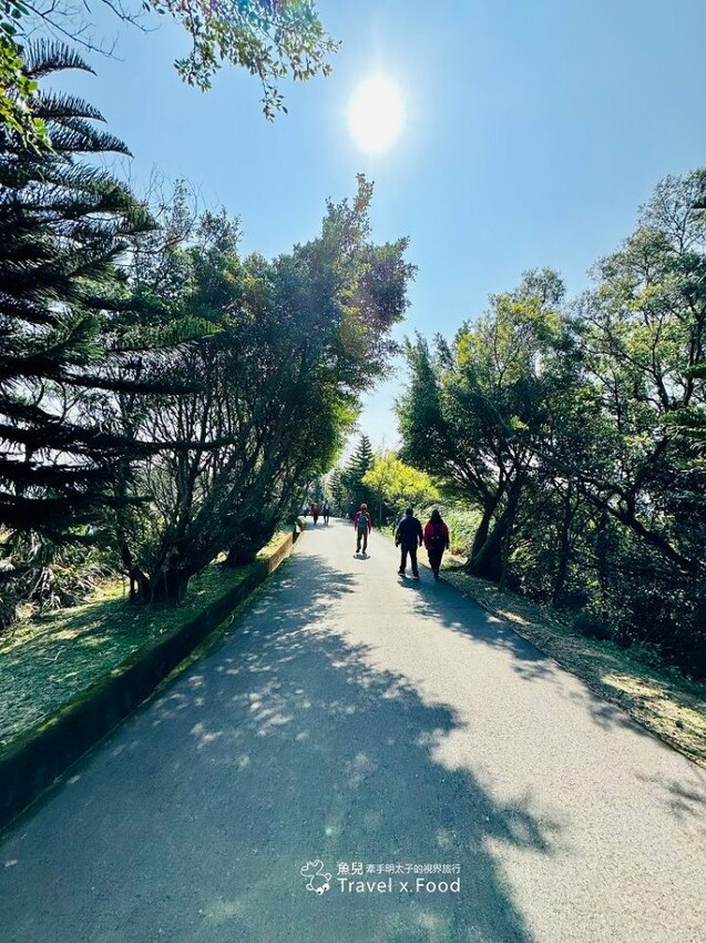 萬株櫻花林唯美浪漫，芒草落羽松各有千秋。春暖花開，踏青健走好風光。秀才登山步道，全家一起來！（2/17花況） @魚兒 x 牽手明太子的「視」界旅行