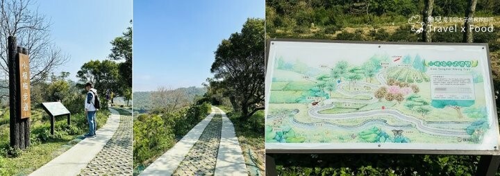 萬株櫻花林唯美浪漫，芒草落羽松各有千秋。春暖花開，踏青健走好風光。秀才登山步道，全家一起來！（2/17花況） @魚兒 x 牽手明太子的「視」界旅行