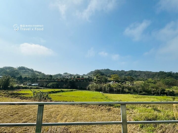 萬株櫻花林唯美浪漫，芒草落羽松各有千秋。春暖花開，踏青健走好風光。秀才登山步道，全家一起來！（2/17花況） @魚兒 x 牽手明太子的「視」界旅行