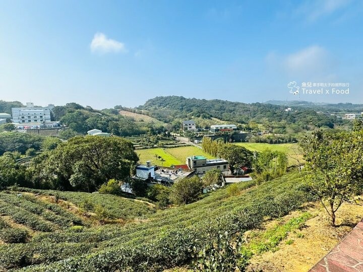 萬株櫻花林唯美浪漫，芒草落羽松各有千秋。春暖花開，踏青健走好風光。秀才登山步道，全家一起來！（2/17花況） @魚兒 x 牽手明太子的「視」界旅行