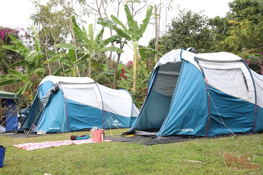 【楠西梅嶺二日遊】來去神秘氣場住一晚，品味道地的梅子雞、隱藏版山中咖啡店，最美景觀餐廳讓你拍爆~ - 熱血玩台南。跳躍新世界