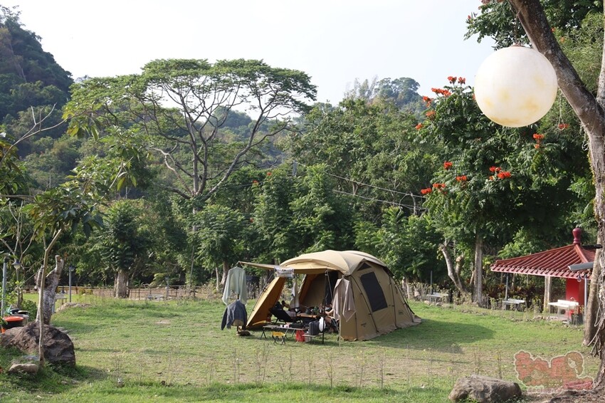 【楠西梅嶺二日遊】來去神秘氣場住一晚，品味道地的梅子雞、隱藏版山中咖啡店，最美景觀餐廳讓你拍爆~ - 熱血玩台南。跳躍新世界