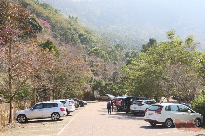 【楠西梅嶺二日遊】來去神秘氣場住一晚，品味道地的梅子雞、隱藏版山中咖啡店，最美景觀餐廳讓你拍爆~ - 熱血玩台南。跳躍新世界