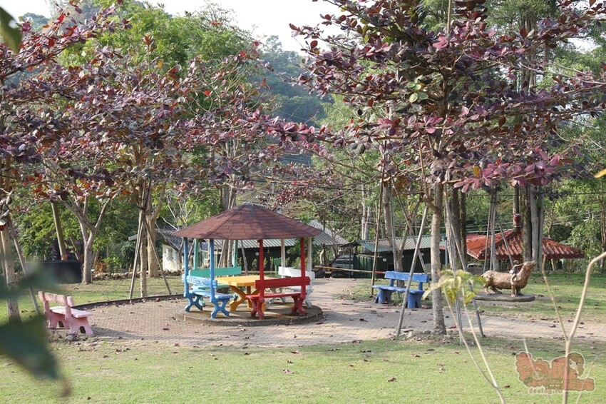 【楠西梅嶺二日遊】來去神秘氣場住一晚，品味道地的梅子雞、隱藏版山中咖啡店，最美景觀餐廳讓你拍爆~ - 熱血玩台南。跳躍新世界