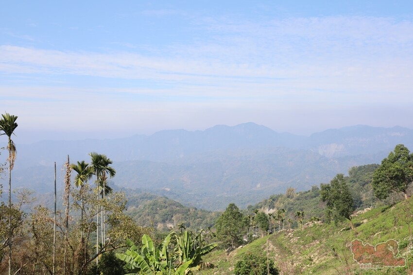 【楠西梅嶺二日遊】來去神秘氣場住一晚，品味道地的梅子雞、隱藏版山中咖啡店，最美景觀餐廳讓你拍爆~ - 熱血玩台南。跳躍新世界