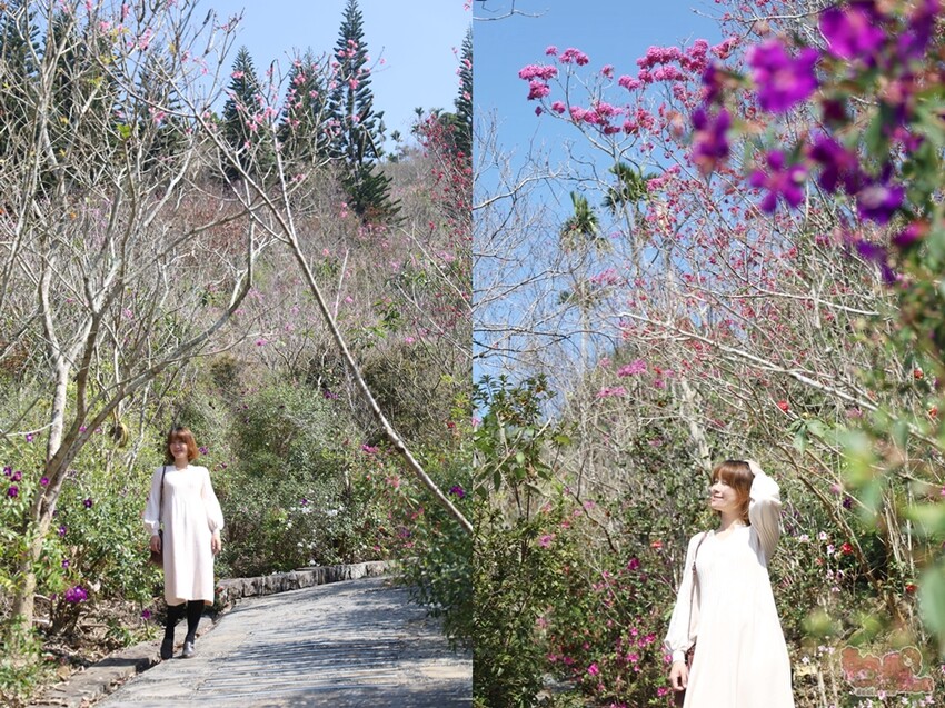 【楠西梅嶺二日遊】來去神秘氣場住一晚，品味道地的梅子雞、隱藏版山中咖啡店，最美景觀餐廳讓你拍爆~ - 熱血玩台南。跳躍新世界