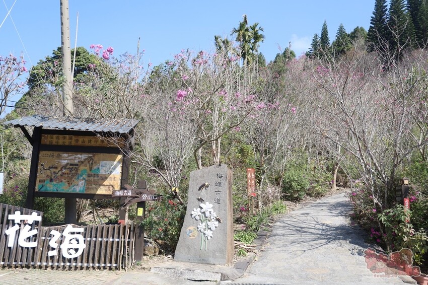 【楠西梅嶺二日遊】來去神秘氣場住一晚，品味道地的梅子雞、隱藏版山中咖啡店，最美景觀餐廳讓你拍爆~ - 熱血玩台南。跳躍新世界