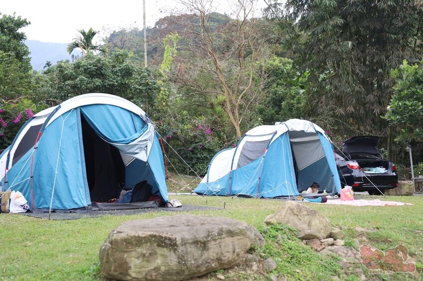 【楠西梅嶺二日遊】來去神秘氣場住一晚，品味道地的梅子雞、隱藏版山中咖啡店，最美景觀餐廳讓你拍爆~ - 熱血玩台南。跳躍新世界