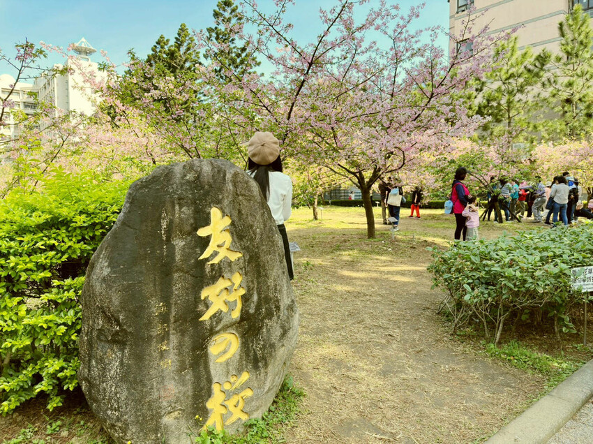 2024賞櫻免上山懶人包,桃園櫻花季去哪拍?超人氣賞櫻小景點 2024賞櫻免上山懶人包,桃園櫻花季去哪拍?超人氣賞櫻小景點