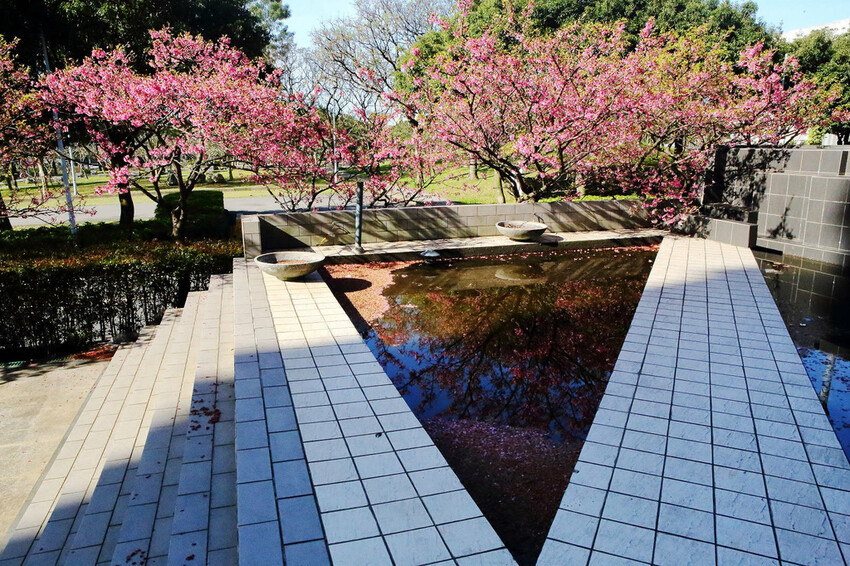 2024賞櫻免上山懶人包,桃園櫻花季去哪拍?超人氣賞櫻小景點 2024賞櫻免上山懶人包,桃園櫻花季去哪拍?超人氣賞櫻小景點