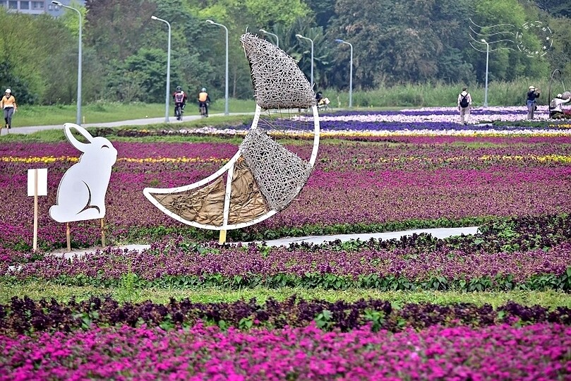 2023古亭河濱公園花海