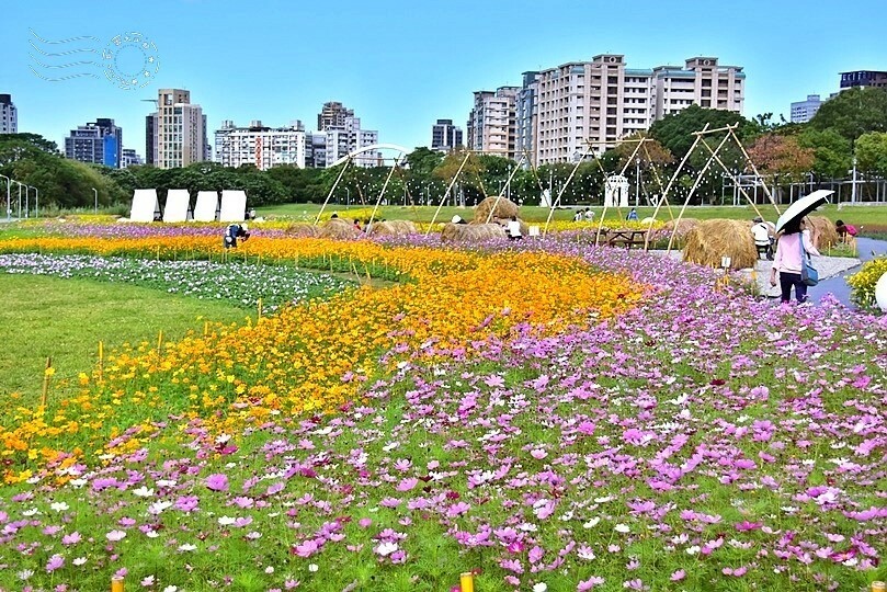 2024古亭河濱公園花海