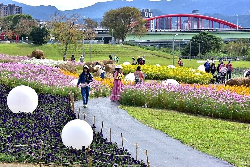 2024古亭河濱公園花海