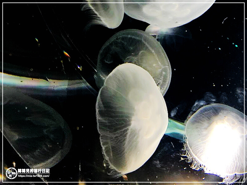 【遊記】日本-大阪+京都║五天四夜➽DAY4