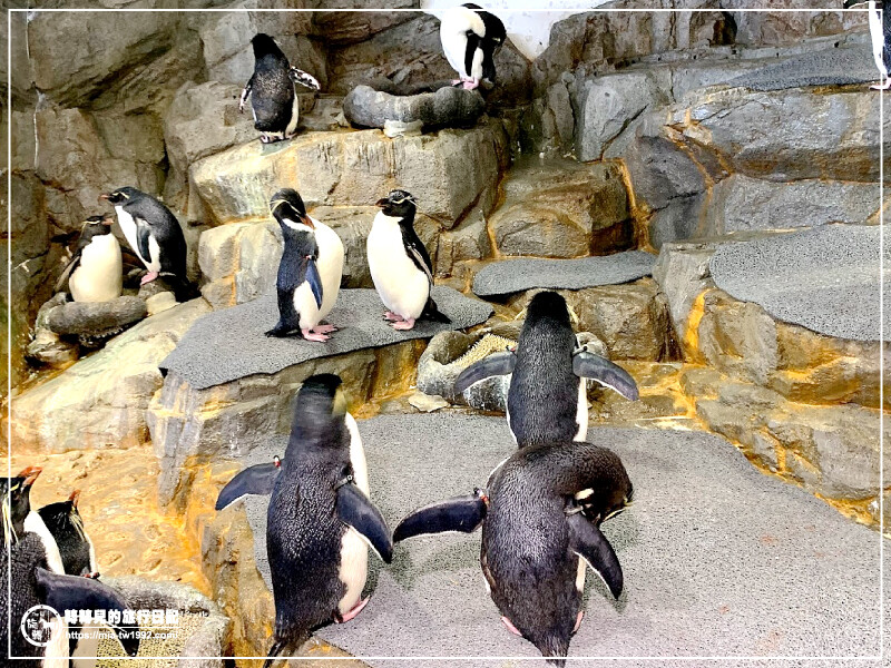 【遊記】日本-大阪+京都║五天四夜➽DAY4