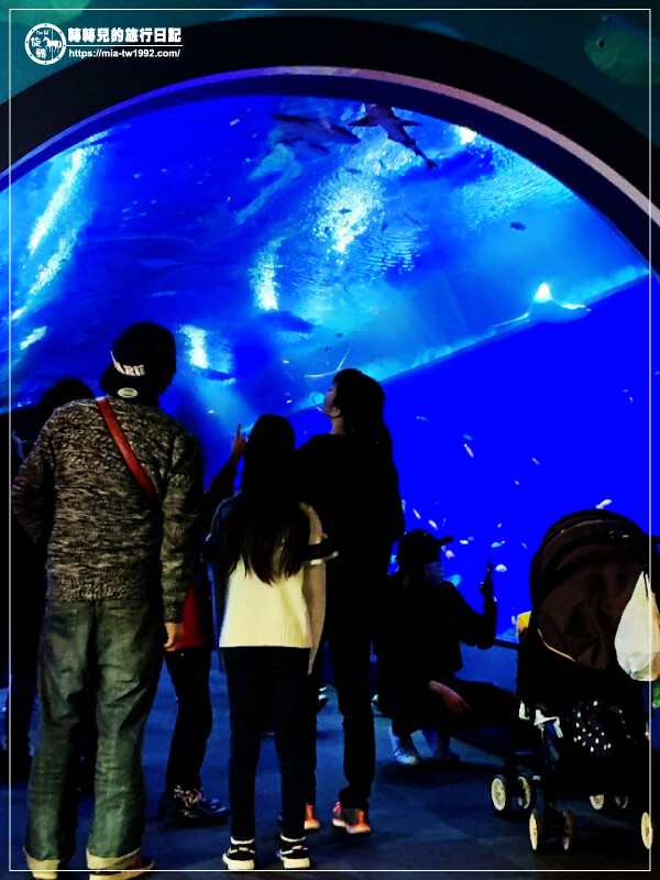 【遊記】日本-大阪+京都║五天四夜➽DAY4