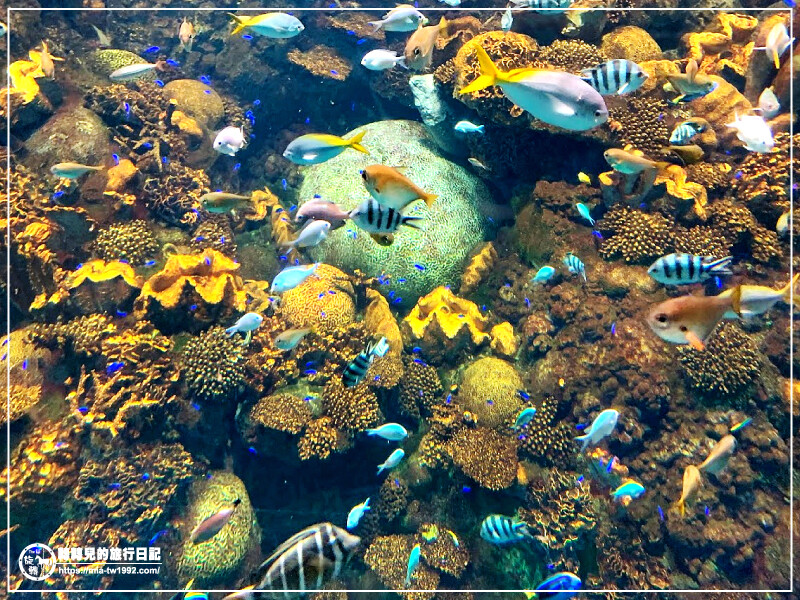 【遊記】日本-大阪+京都║五天四夜➽DAY4