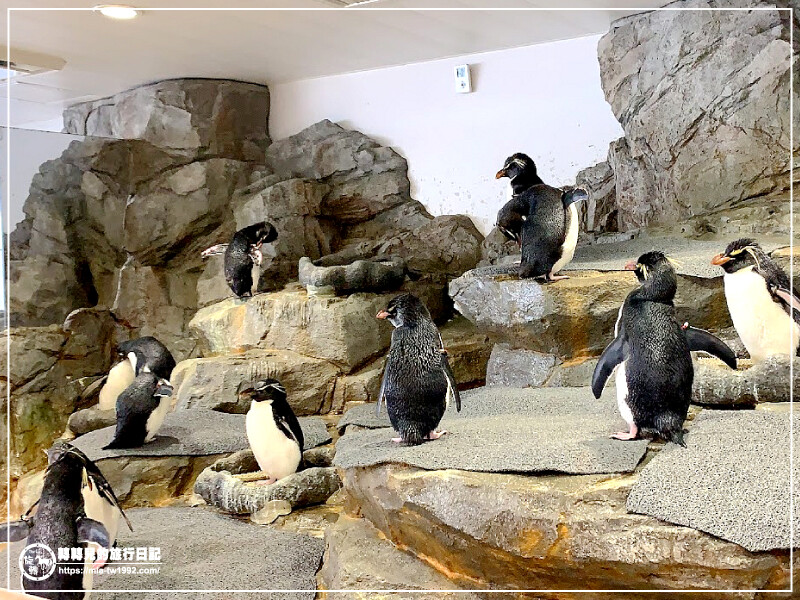 【遊記】日本-大阪+京都║五天四夜➽DAY4