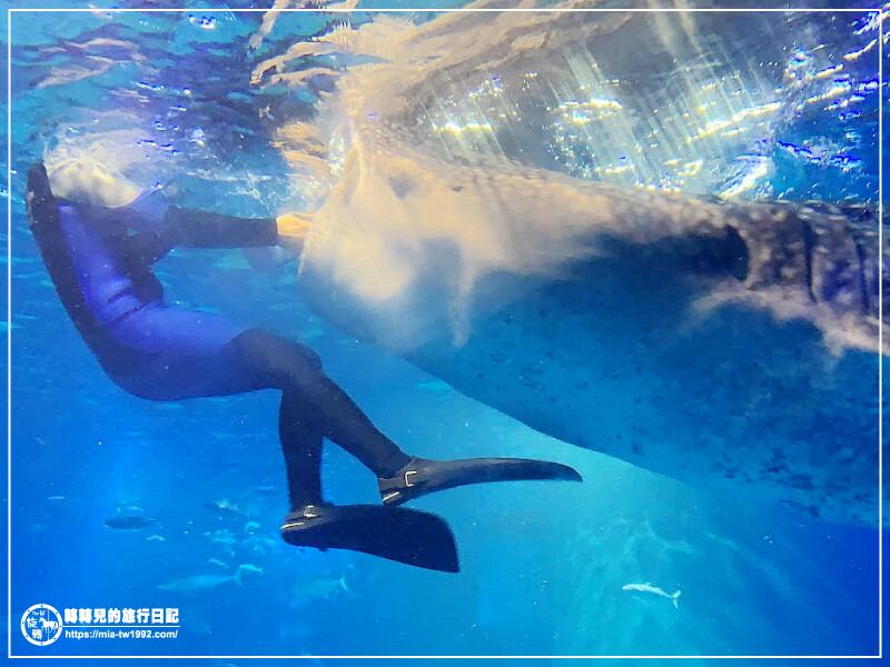 【遊記】日本-大阪+京都║五天四夜➽DAY4