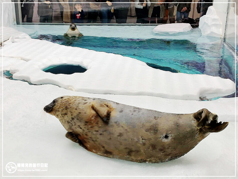 【遊記】日本-大阪+京都║五天四夜➽DAY4