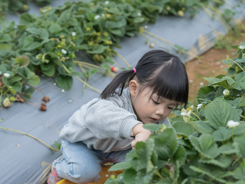 自然圈農場 DSC06305