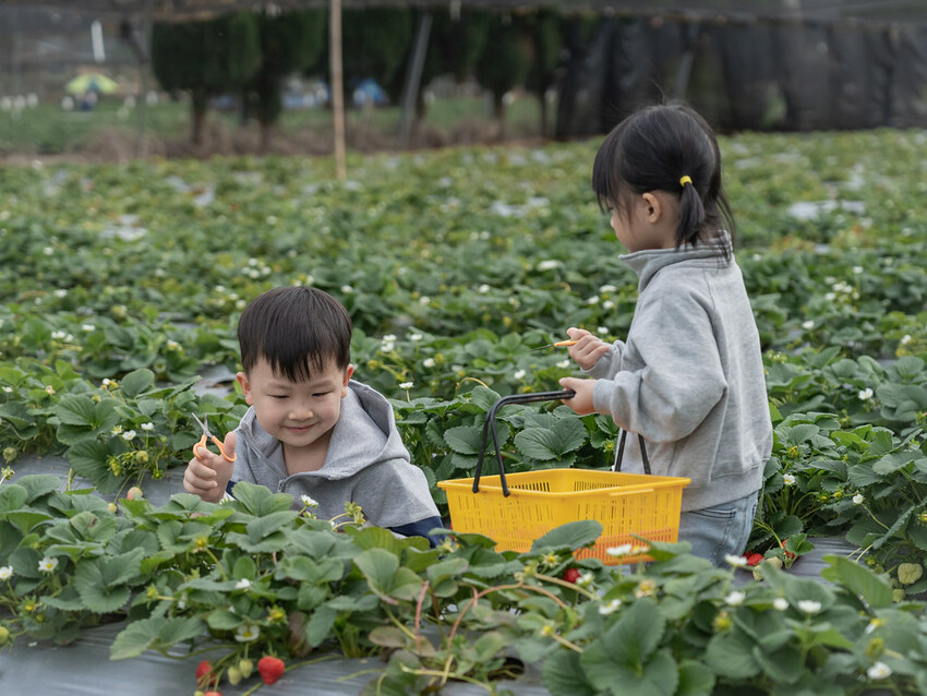 自然圈農場 DSC06315