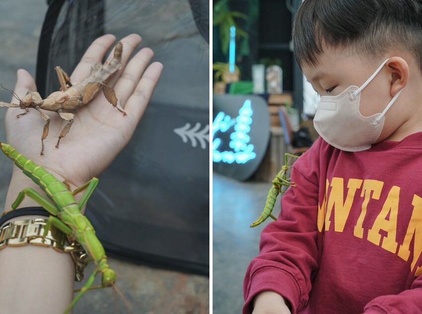 自然圈農場 DSC07907-side