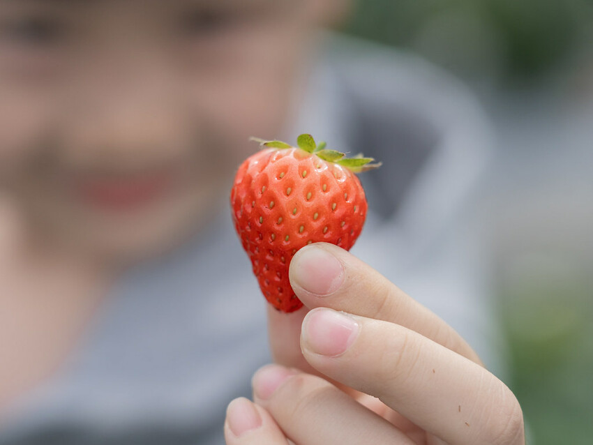 自然圈農場 DSC06310