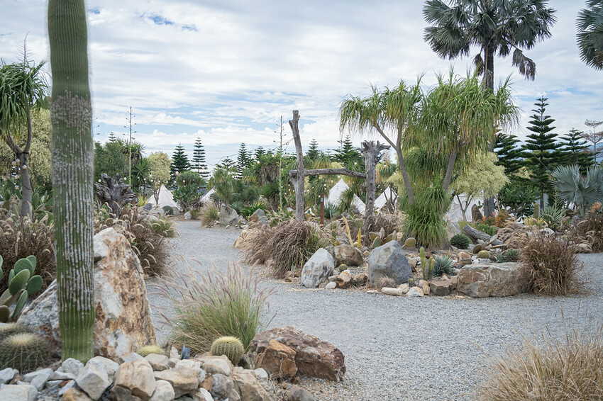 自然圈農場 DSC06434