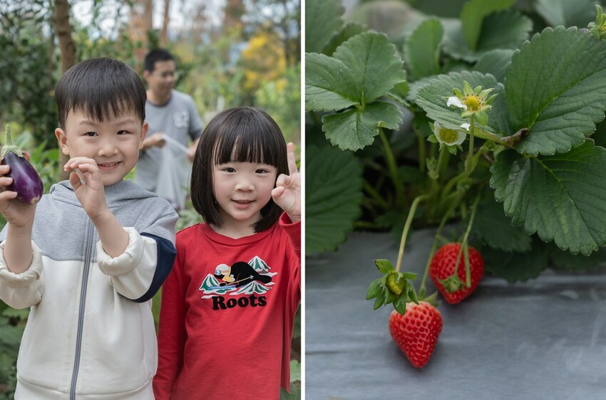 自然圈農場 DSC06455-side