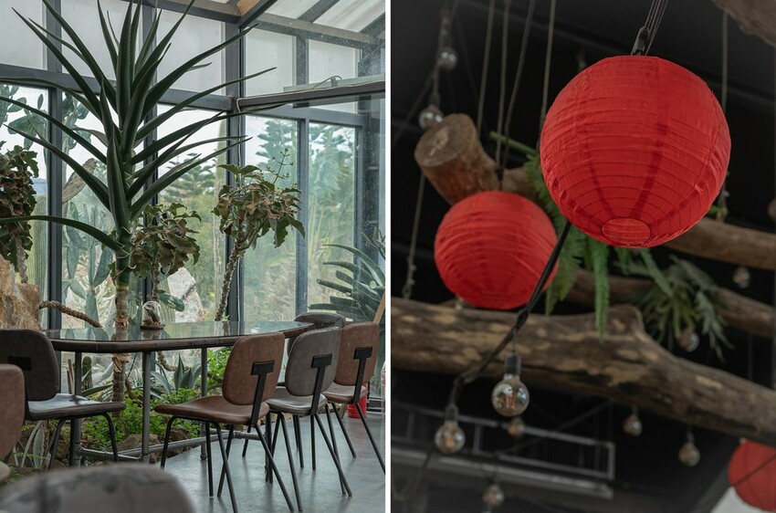 自然圈農場 DSC06428-side