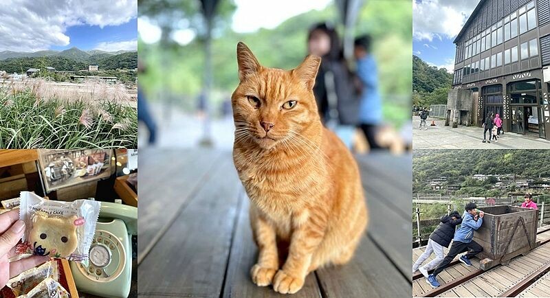 新北市瑞芳區【新北瑞芳】猴硐貓村喵星人敲可愛!寧靜小鎮裡看煤礦歷史,靜享美好時光!交通、景點