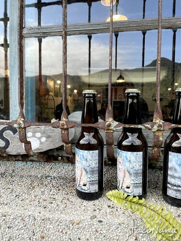 新北市瑞芳區【新北瑞芳】猴硐貓村喵星人敲可愛!寧靜小鎮裡看煤礦歷史,靜享美好時光!交通、景點