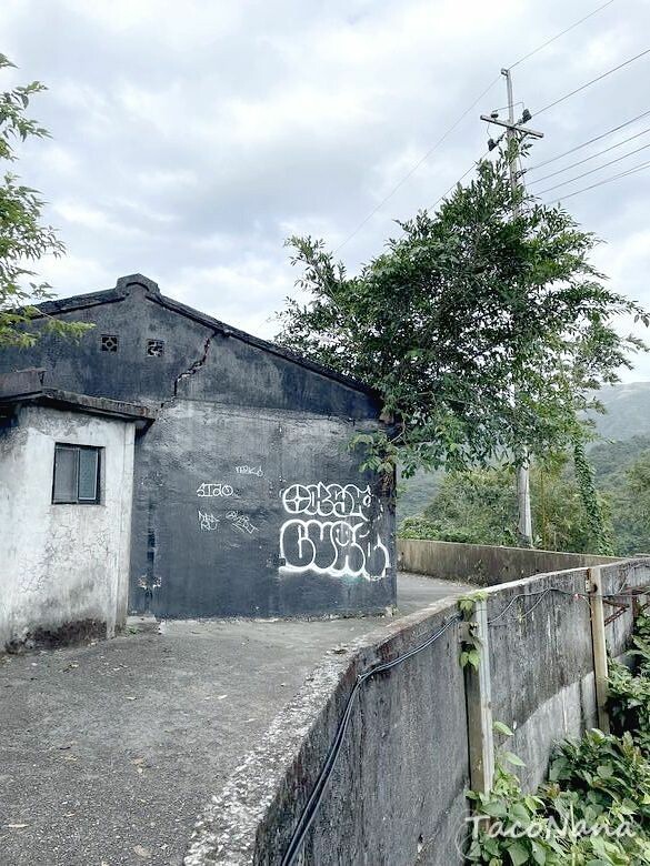 新北市瑞芳區【新北瑞芳】猴硐貓村喵星人敲可愛!寧靜小鎮裡看煤礦歷史,靜享美好時光!交通、景點