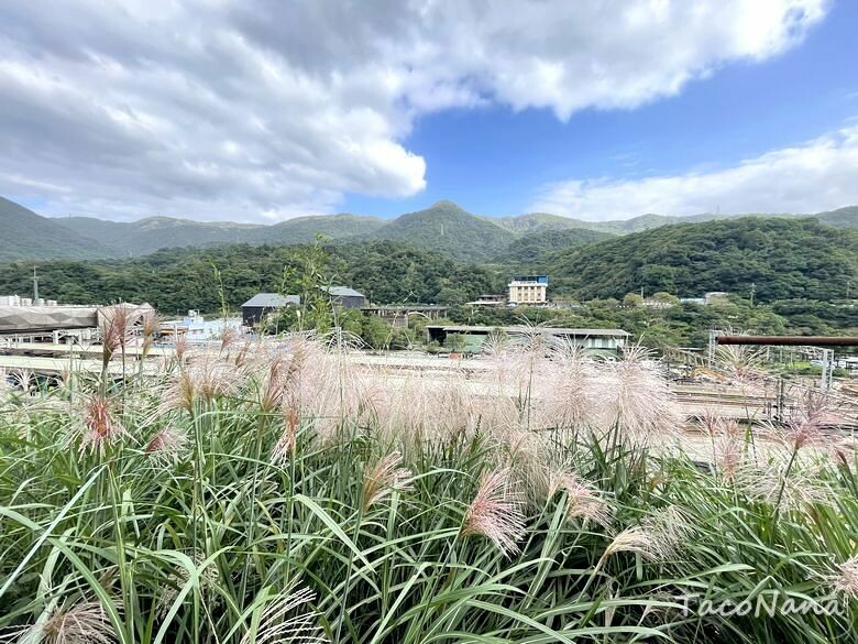 新北市瑞芳區【新北瑞芳】猴硐貓村喵星人敲可愛!寧靜小鎮裡看煤礦歷史,靜享美好時光!交通、景點