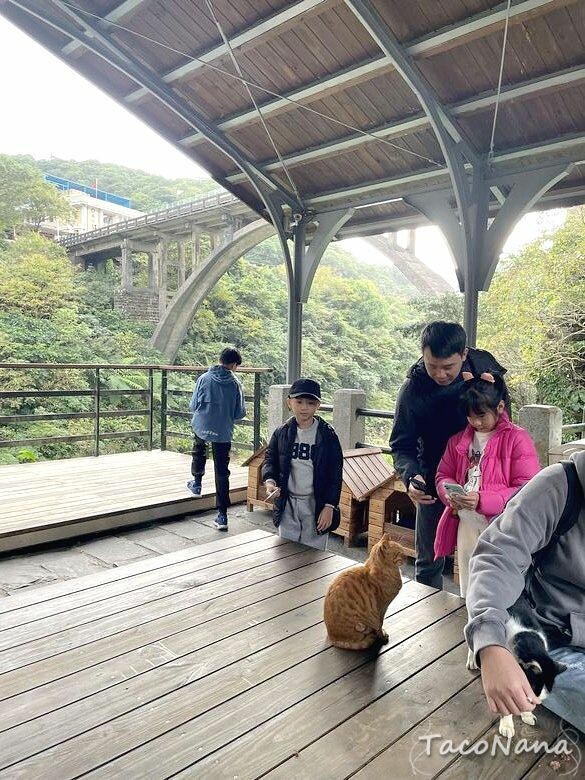 新北市瑞芳區【新北瑞芳】猴硐貓村喵星人敲可愛!寧靜小鎮裡看煤礦歷史,靜享美好時光!交通、景點