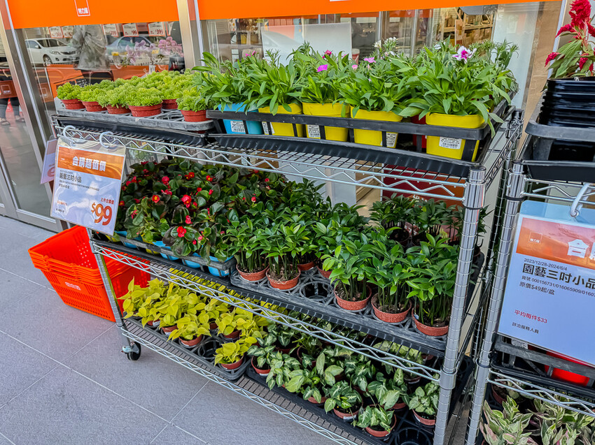 特力屋台東店 x 500坪獨立賣場 | DIY居家修繕一站滿足