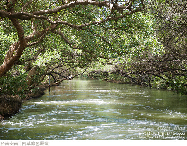 四草綠色隧道-23.jpg